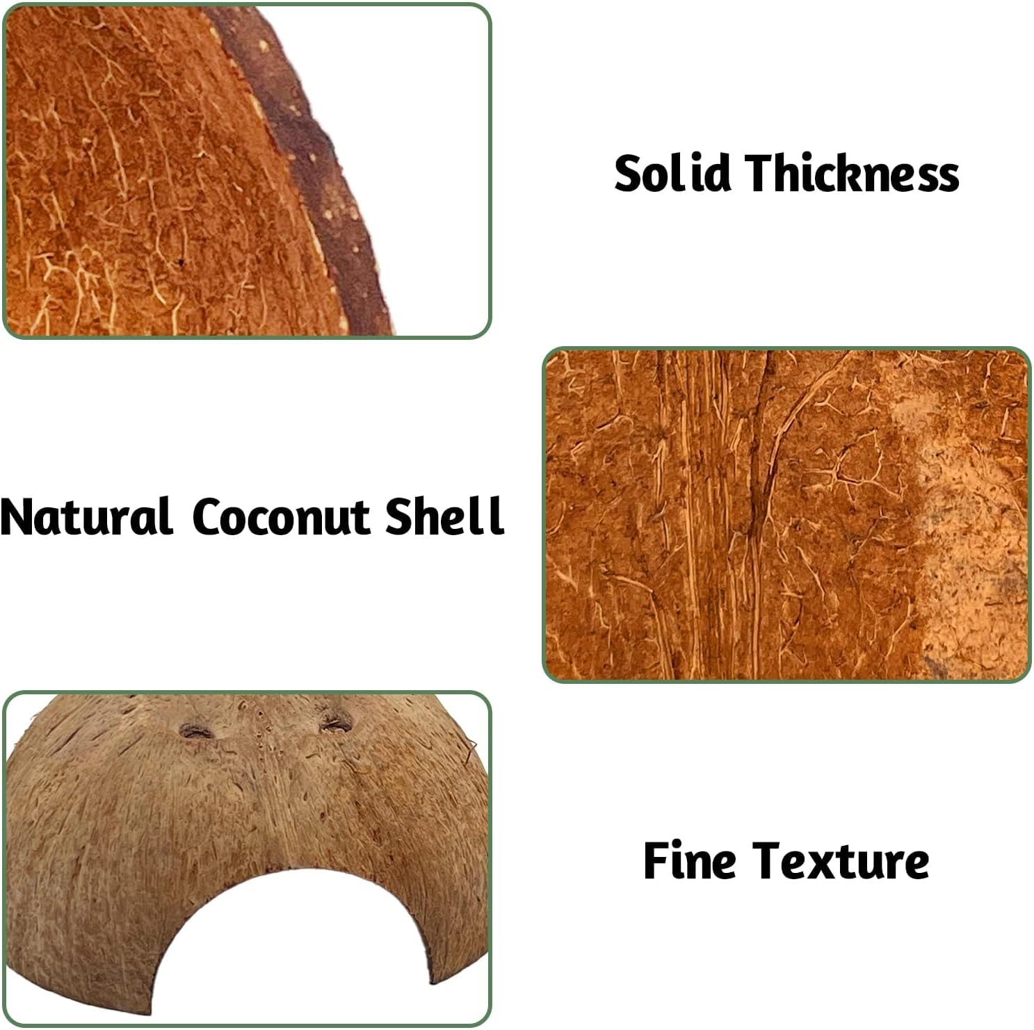 PINVNBY 6 PCS Natural Coconut Reptile Hideouts Lizard Coco Hut Hermit Crab Hut Aquarium Fish Hide Cave Spider Snail Climber Toys