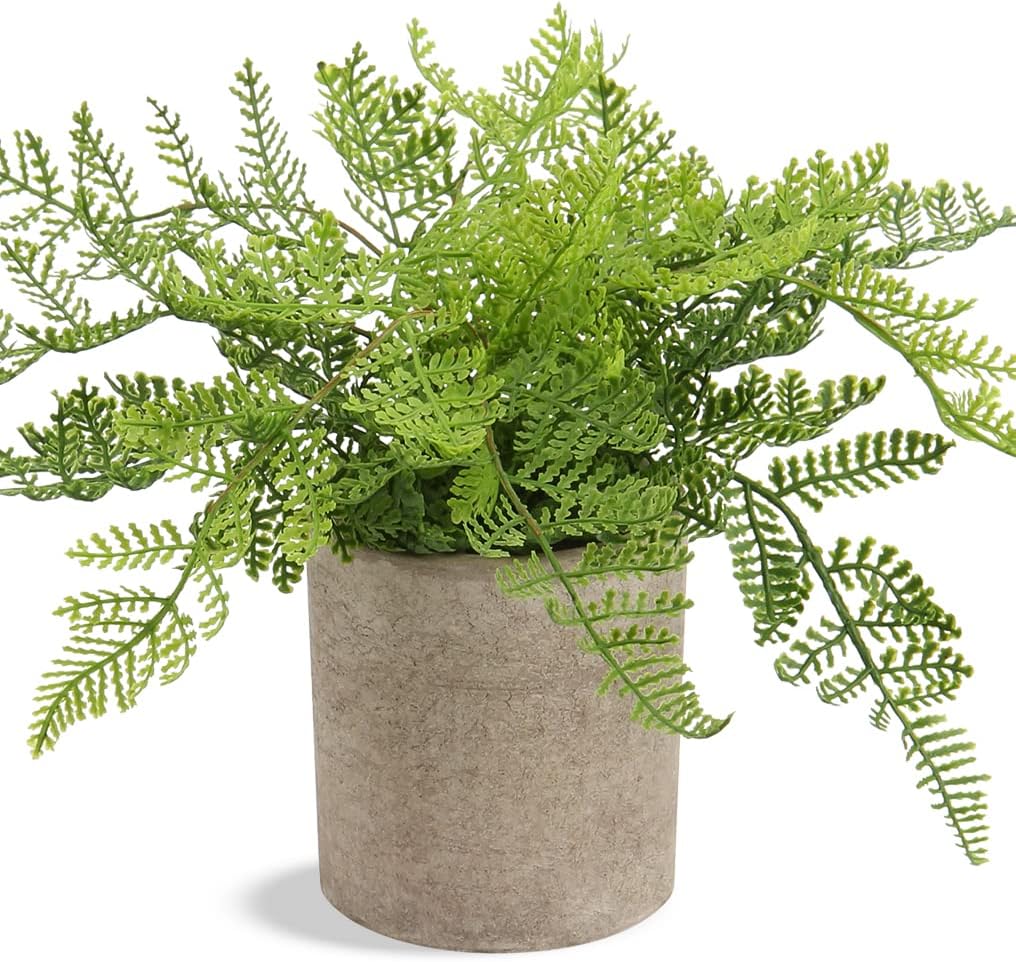 Hollyone Small Fake Plant Potted Plants Artificial Decor Silk Ferns Plant Faux Plants in Pots for Home Living Room Bedroom Desk Bathroom Window Shelf Farmhouse Decoration