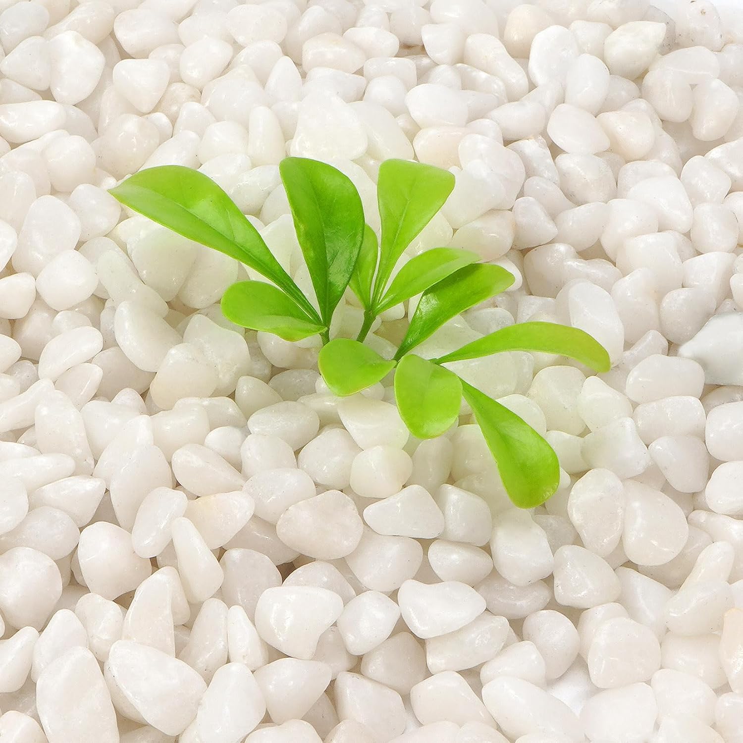 2.2 lb Natural Polished White Pebbles, 3/8 Inch Decorative White Rocks for Potted Plants Pot Filling Aquariums Outdoor Street Scape Decorative Rocks
