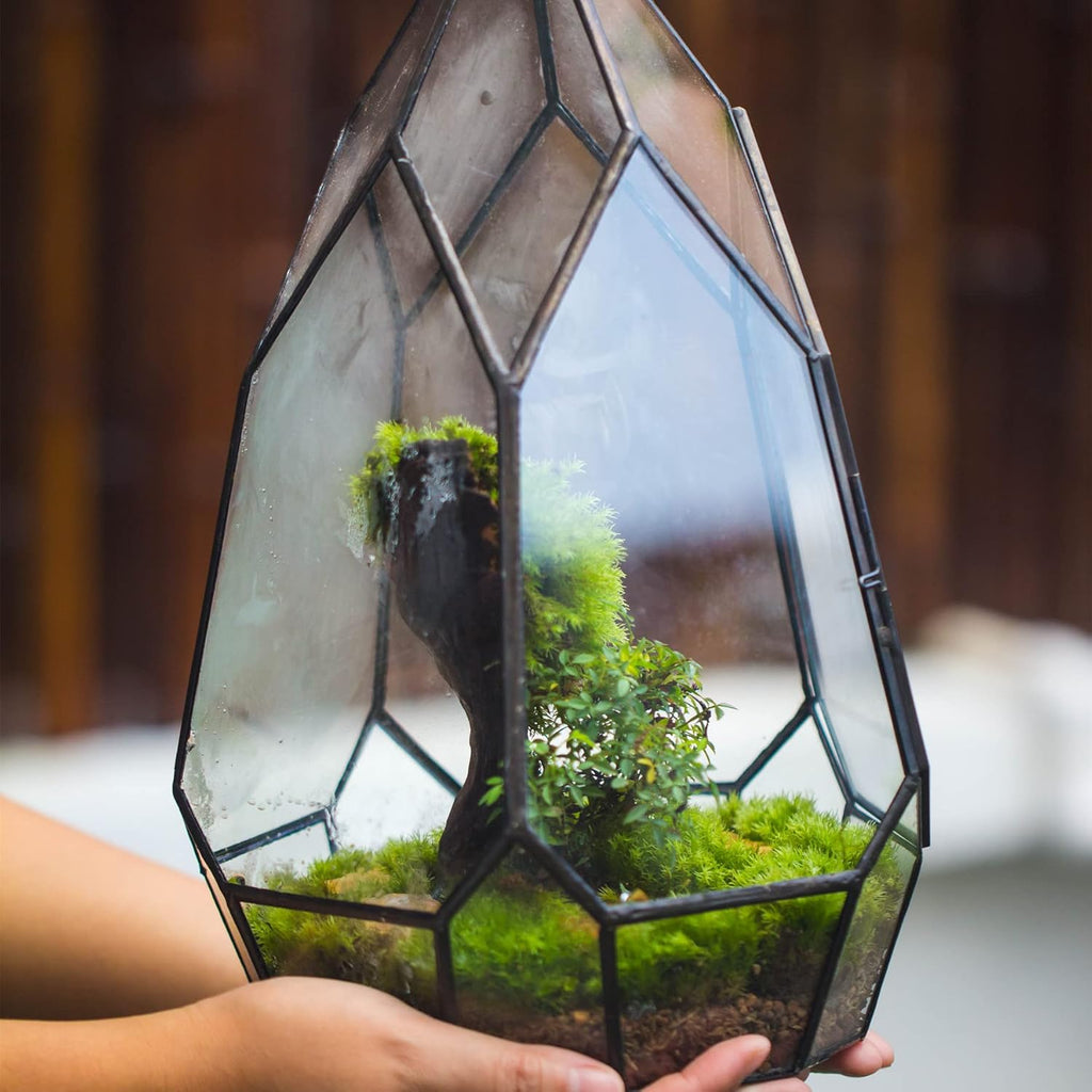 NCYP Modern Black Glass Geometric Terrarium Container with Door - Balcony Planter DIY Display Flower Pot for Succulent Fern - Tabletop Miniature Botanical Fairy Garden (No Plants)