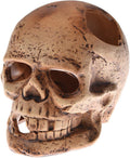ALEGI Aquarium Decoration Hideaway Rock Cave for Betta Shrimp Cichlid Hiding Breeding Spawning (Ceramic Skull)