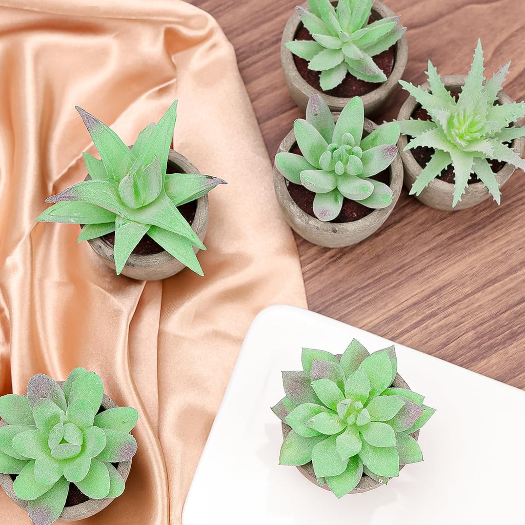 Woration 6pcs Artificial Succulents Plants Potted Assorted Decorative Faux Fake Small Green Succulent with Pot Table Shelf Windowsill Indoor Greenery Decor