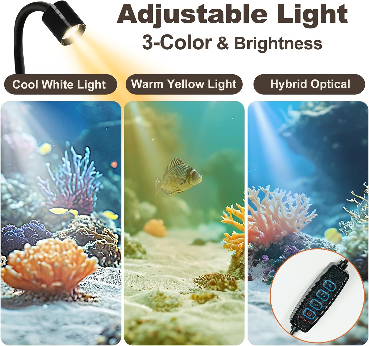 Desktop Aquarium Mini Tank Kit, 1.2 Gallon Rimless Cube with Filter, LED Spotlight, Black Background, Glass Construction, Pipette for Betta Fish, Guppies, Tetras