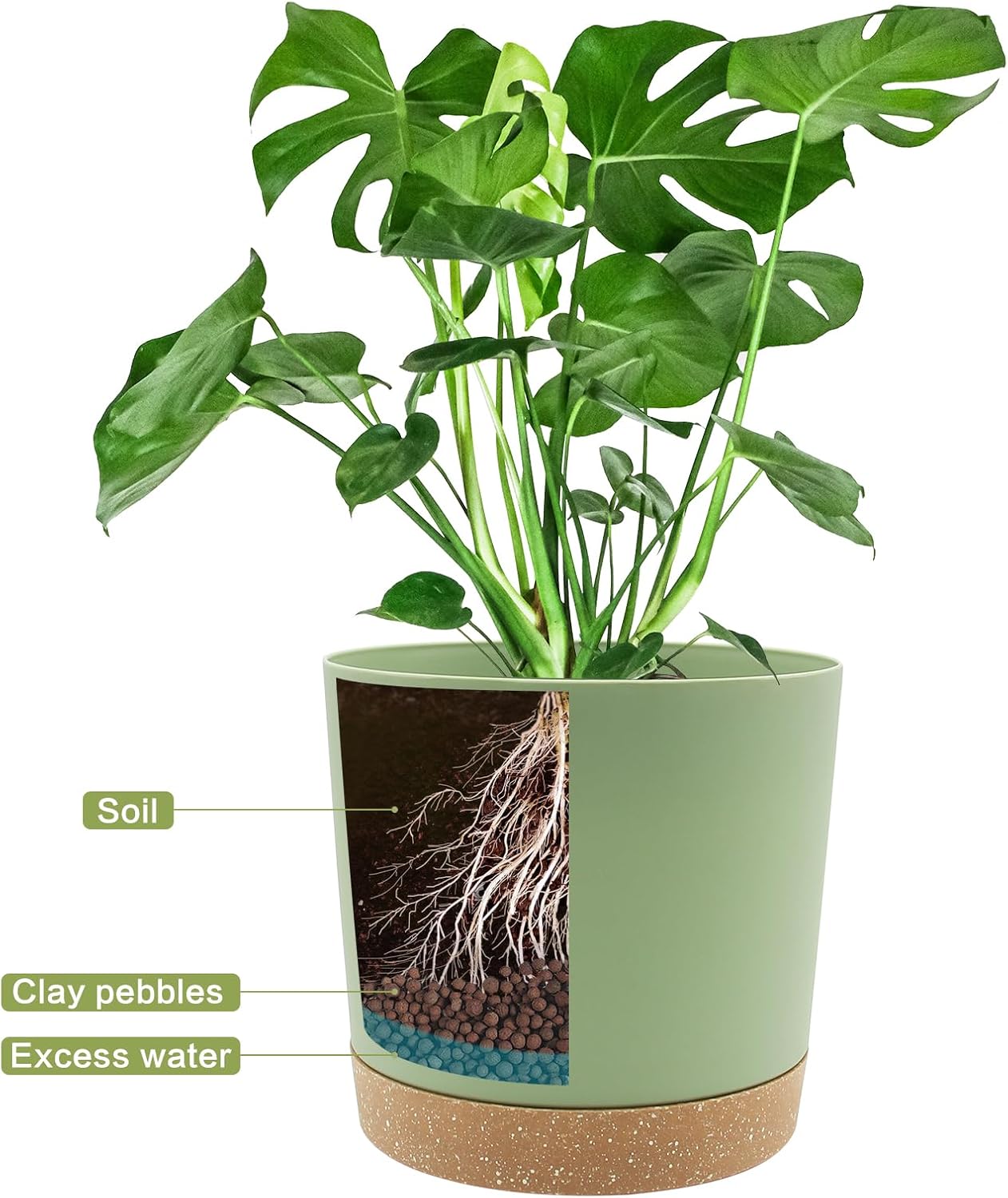 QCQHDU 6.5 inch Plant Pot, 2 Pack Planters for Indoor Plants with Drainage Holes & Saucer, Outdoor Flower Pots Home Garden Modern Decor