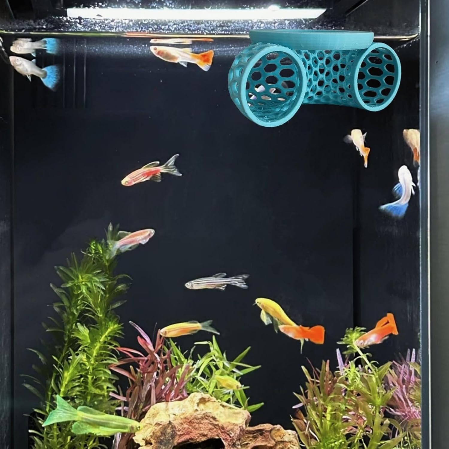 Betta Tunnel, Adds Decorative Style, 13x8.3x5.3cm, Aquarium Hiding Spot, Catfish Tank Tunnel, Easy to Position, Ideal for Breeding and Enrichment