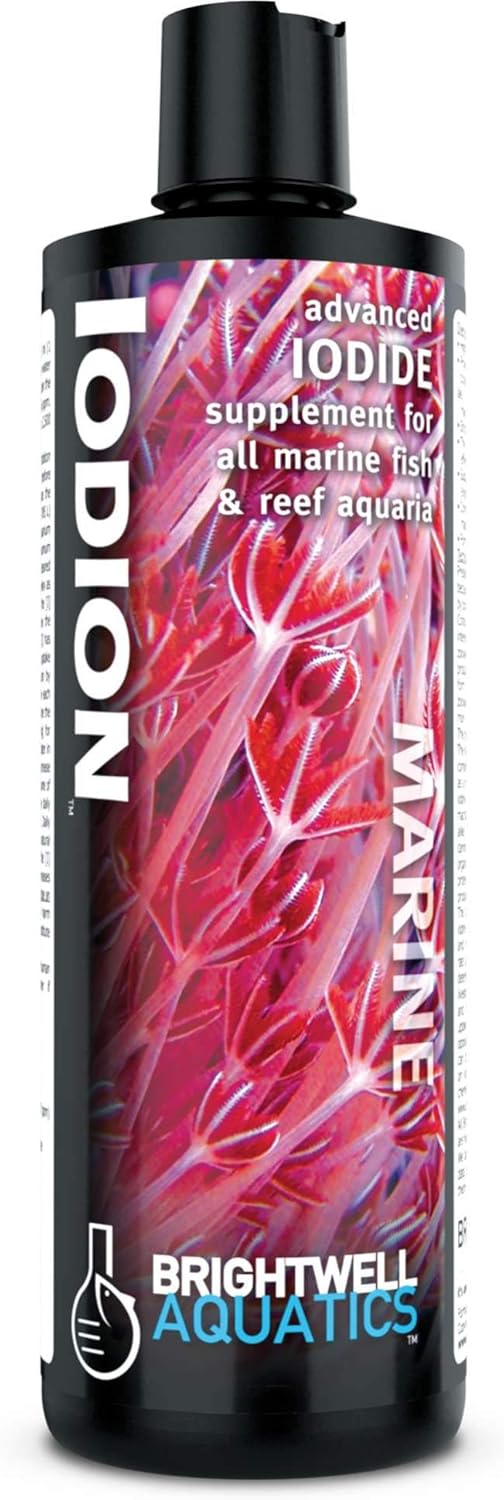 Brightwell Aquatics Iodion Iodide Supplement for Corals Clams Fish Macroalgae Enhances Polyp Extension Lighting Tolerance in Reef Marine Aquariums, 250 ml