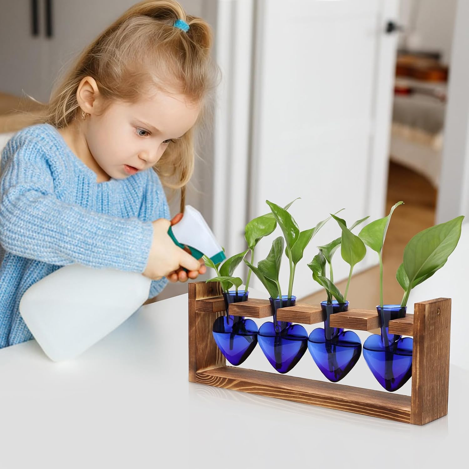 Heart Plant Terrarium Kit Gift for Women Plant Lover Glass Vases
