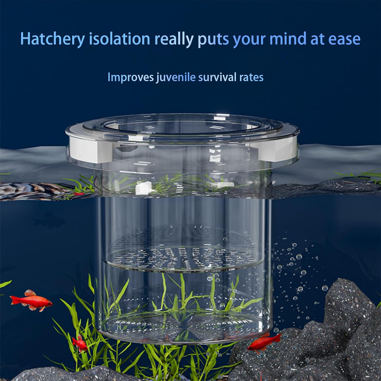 WEAVERBIRD Aquarium Breeder Box, Fish Breeding Box, Acrylic Breeder Isolation Divider Hatching Boxes, Floating Incubation Box, Round Isolation Hatchery Feeding Boxes for Small Fish Fry Hatchery