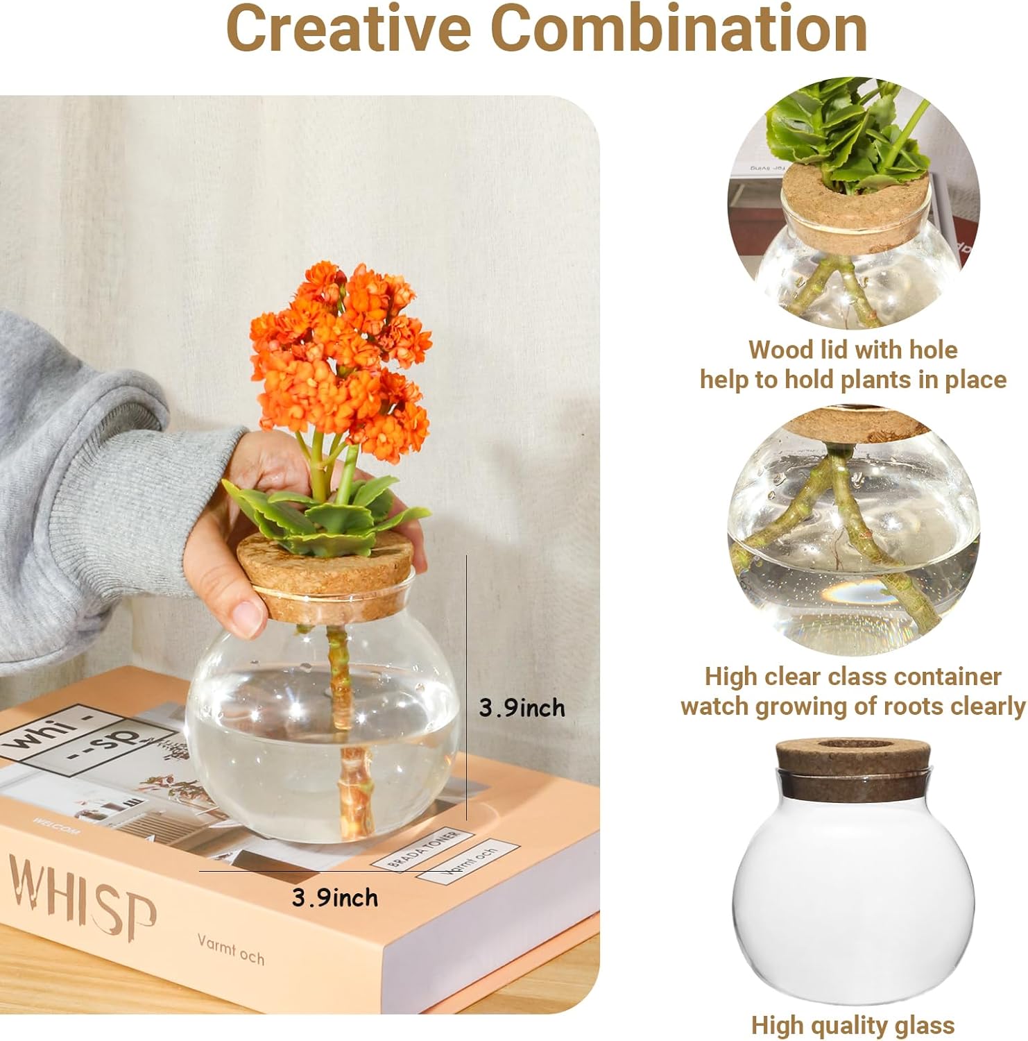 Plant Propagation Station,Hydroponic Terrarium Vase,Desktop Glass Planter Station,for Houses,Garden Decorations,ropagating Hydroponic Plants,Centerpiece Office,Home Garden Decor (4)