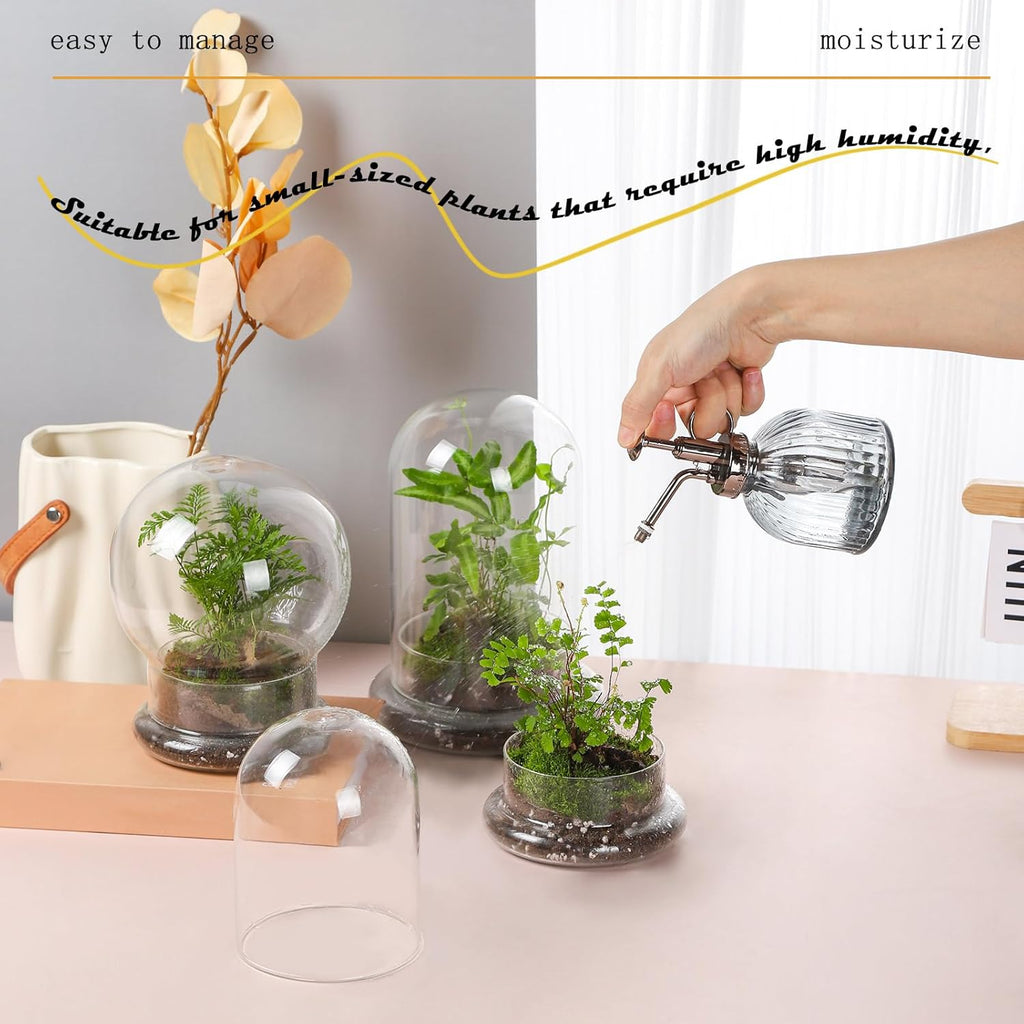 WHJY Round Glass Cloche for Indoor Plants Small Terrarium Glass Cloche with Base Mini Cloche Dome with Base for Display Home Decor