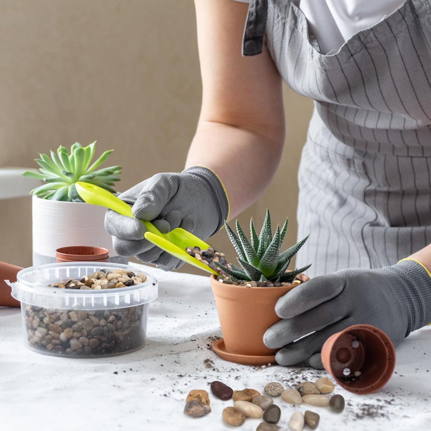 5 lbs Pebbles for Indoor Plants, Succulent, Bamboo, Vase, 3/8" Plant Rocks for Pots Indoor, Small River Rocks Decorative Pea Gravel, Highly Polished