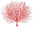 PRETYZOOM Faux Coral Branch Red Peacock Style 18.9In Large Coral Branch for Aquarium Decor and Living Room Wall Decoration