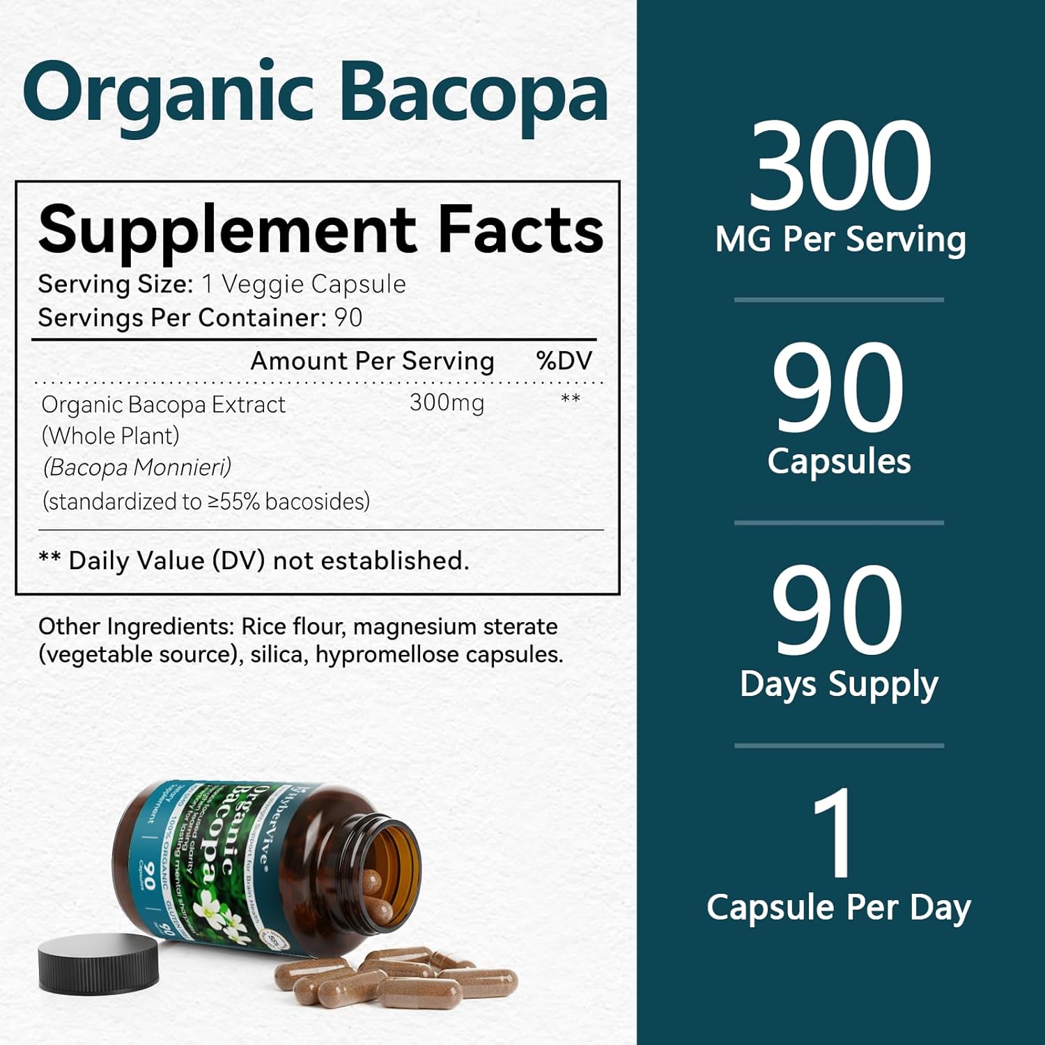 Bacopa Monnieri Supplement 300MG, Organic Nootropic Bacopa Extract, ≥ 55% High Potency Bacosides, Brain & Memory Supplement for Focus and Cognitive Support, Made in USA, 90 Capsules