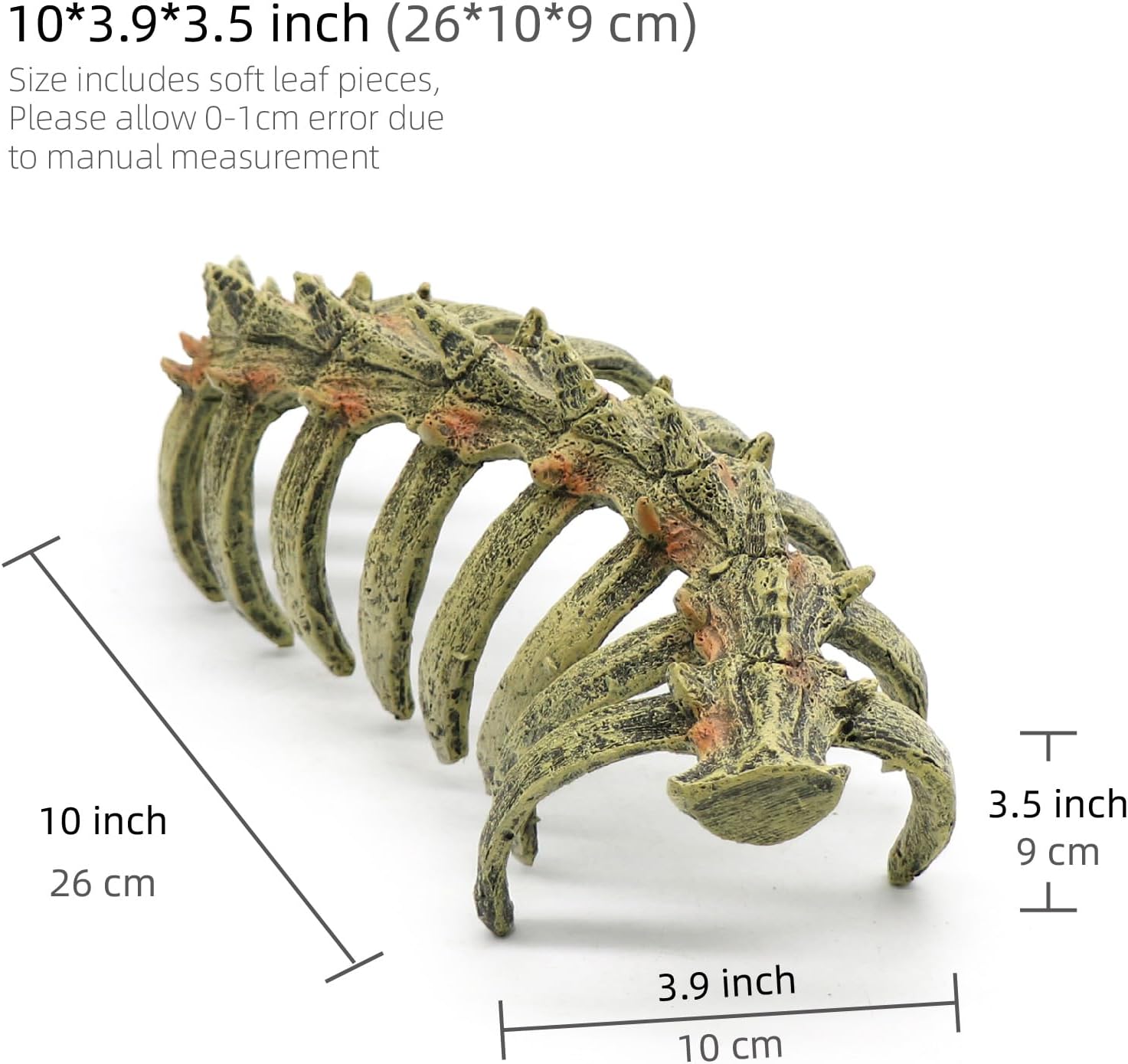 Aquarium Skull Animal Skeletons, Reptile Tank Accessories, Fish Tank Decorations for Amphibians, Betta Fish, Shrimp, Hermit Crab, Leopard Gecko