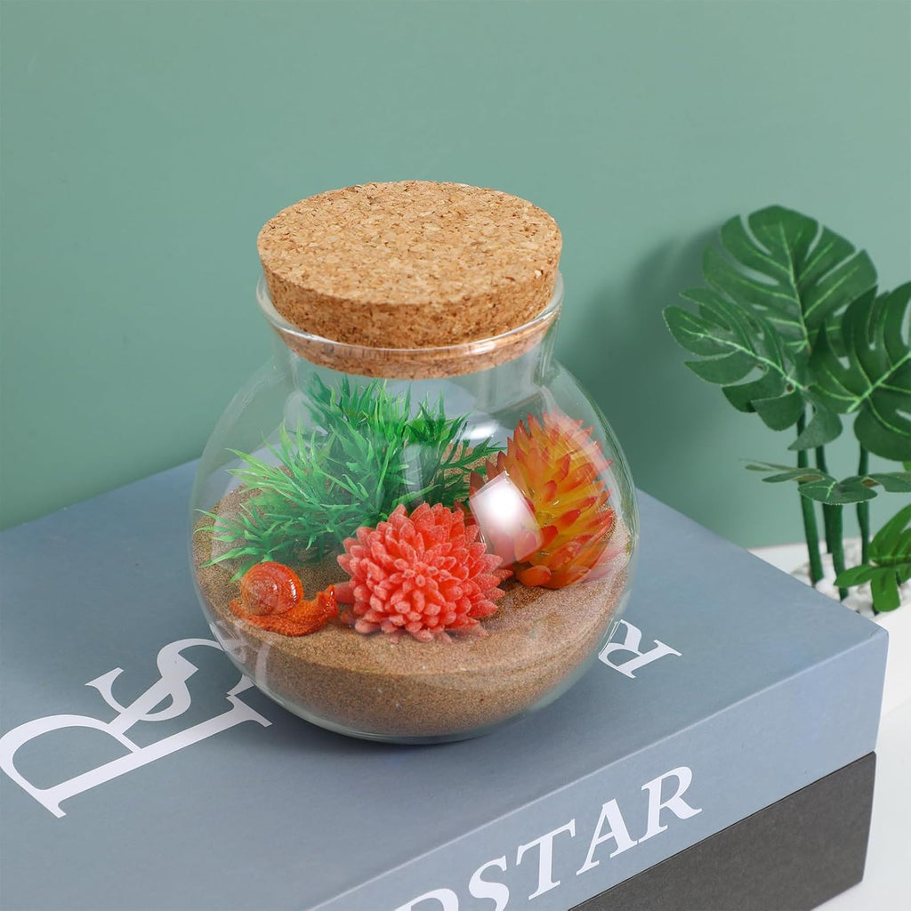 BESPORTBLE Glass Terrarium with Lid: Small Terrarium Jar with Lif, Small Terrarium Containers, Round Glass Jars with Cork