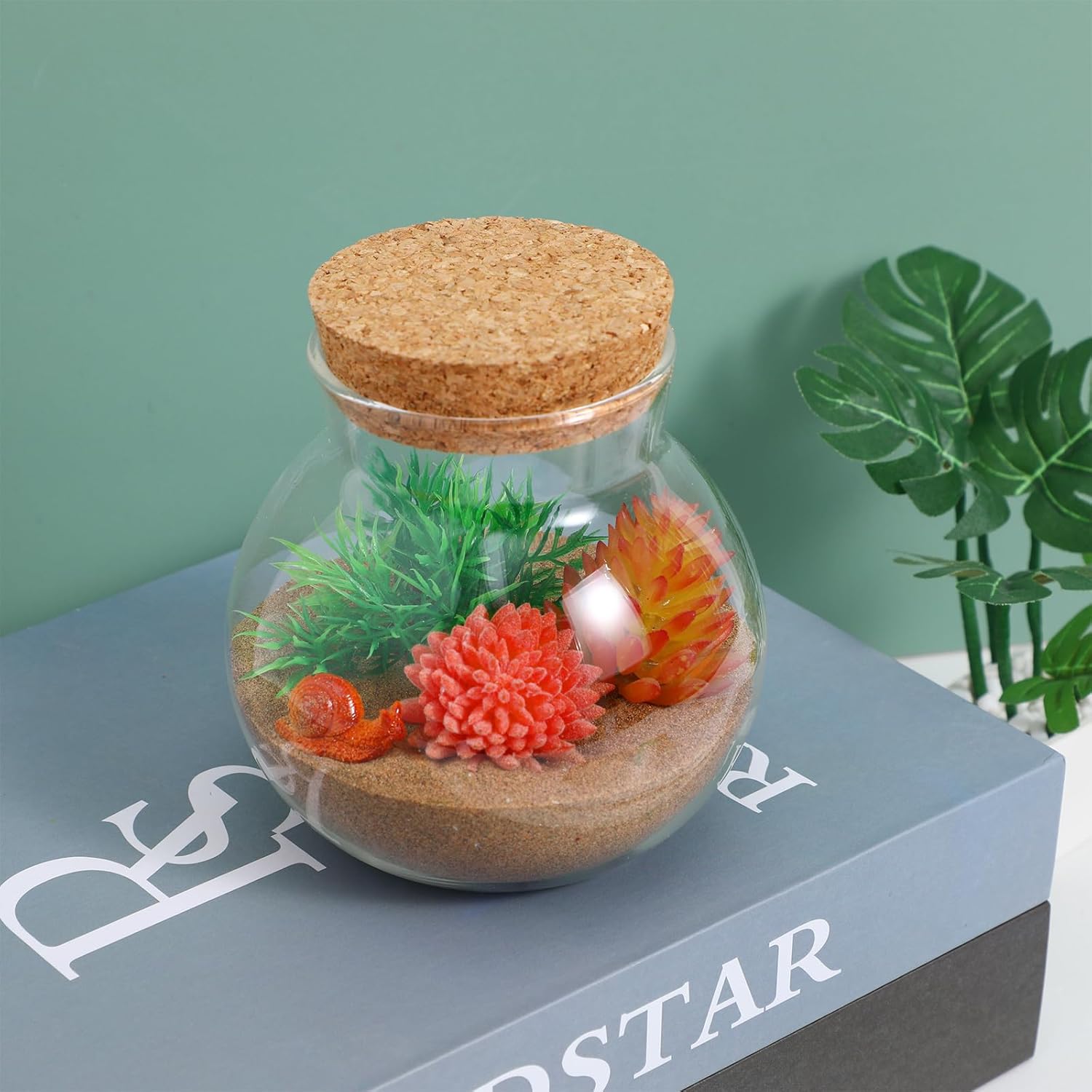 BESPORTBLE Glass Terrarium with Lid: Small Terrarium Jar with Lif, Small Terrarium Containers, Round Glass Jars with Cork