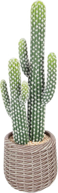 bellacat 25in UV Resistant Fake Cactus with Brown Decorative Pot, Realistic Faux Cactus Plants Indoor, Artificial Cacti for Table Living Room Office Porch Home & Outdoor Decor