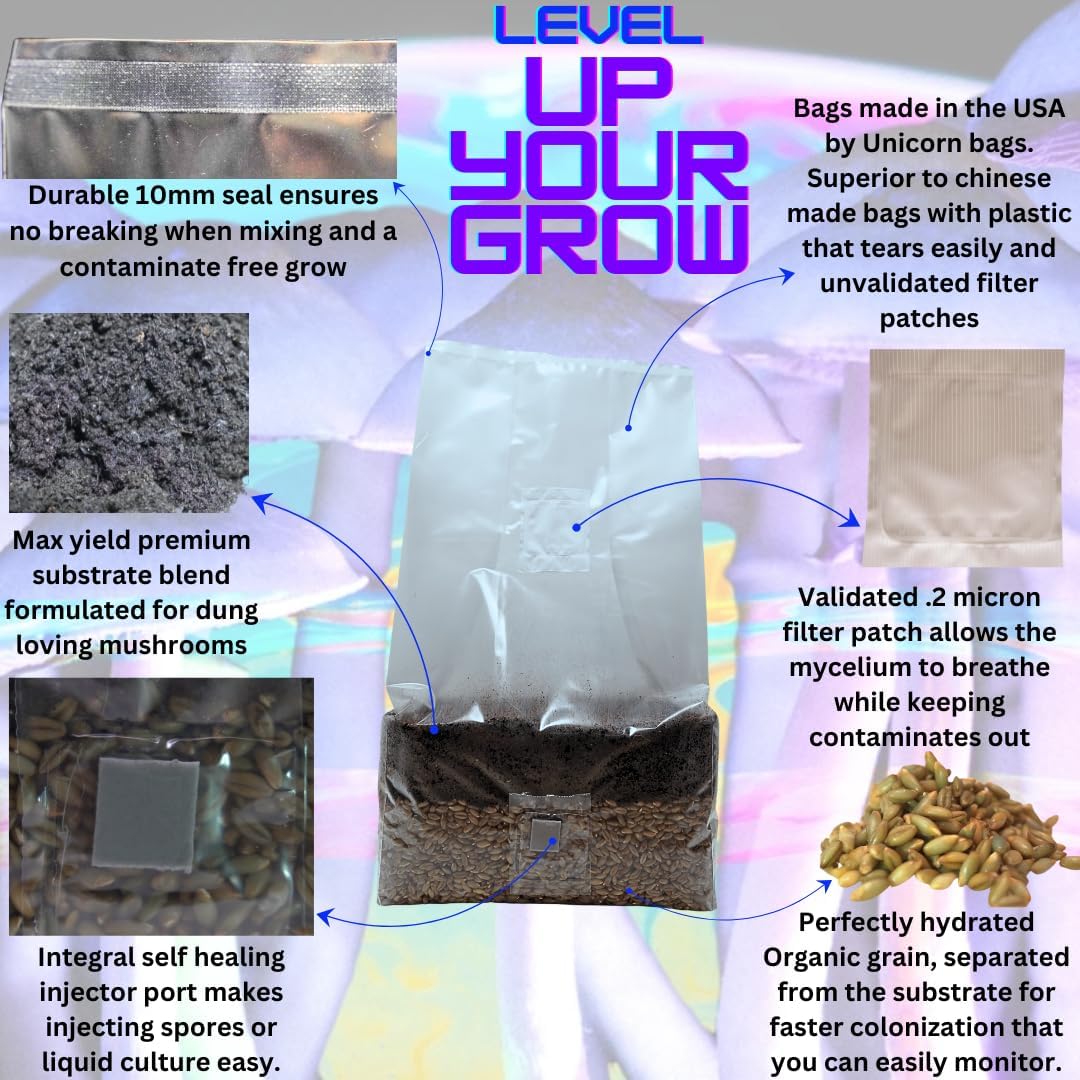 6 Pound Mushroom Grow Bag - All in One Grow Kit in A Bag - Sterilized Grain Spawn and Bulk Substrate - Injector Port - (Pack of 1)