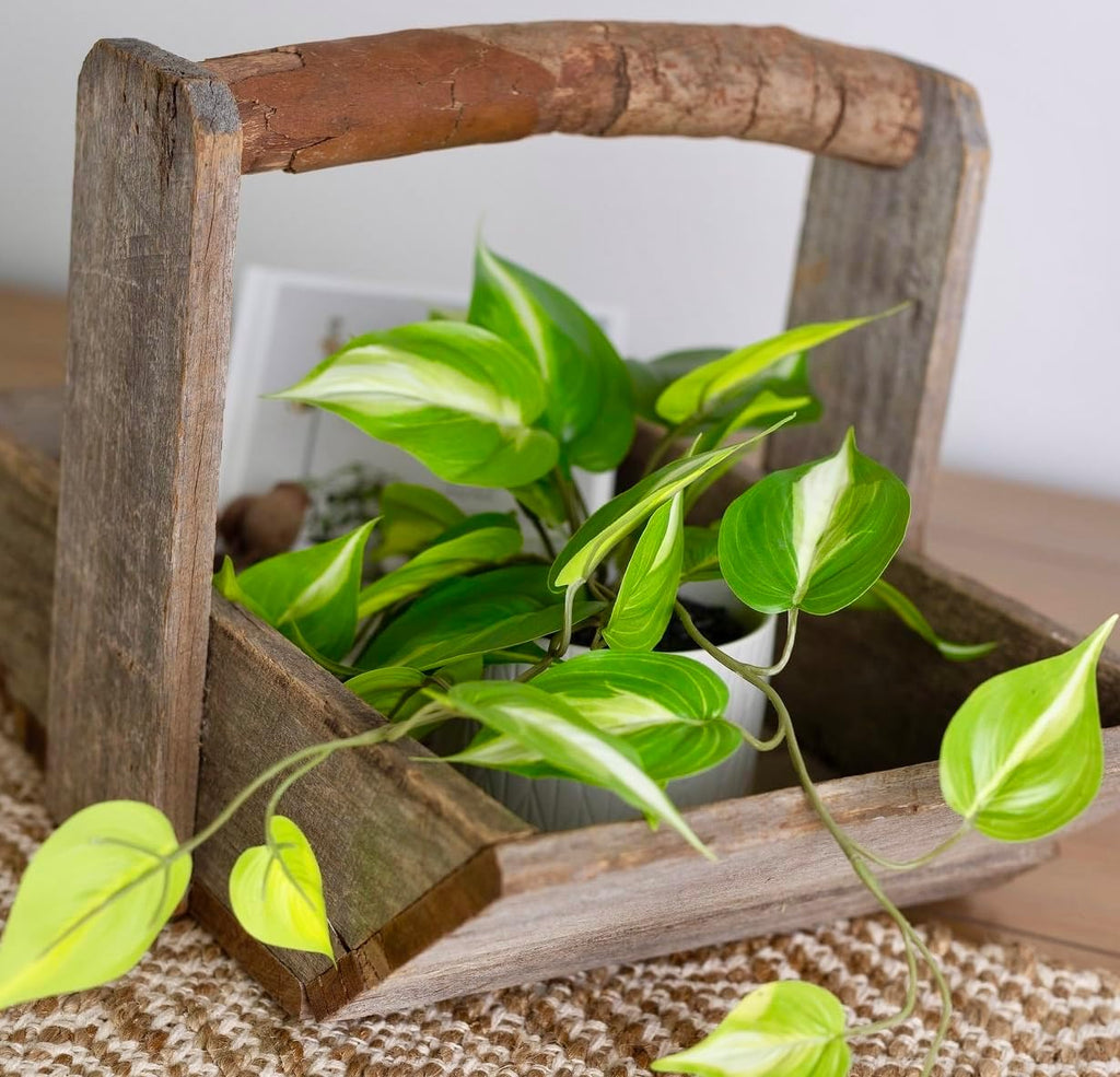 Kurrajong Farmhouse Dark Green Fake pothos | Fake Plant for Shelf Decor | Artificial Trailing Ivy Plant with 5" Wide x 3.5" high Ceramic Pot Faux pothos Plant for Floating Shelves