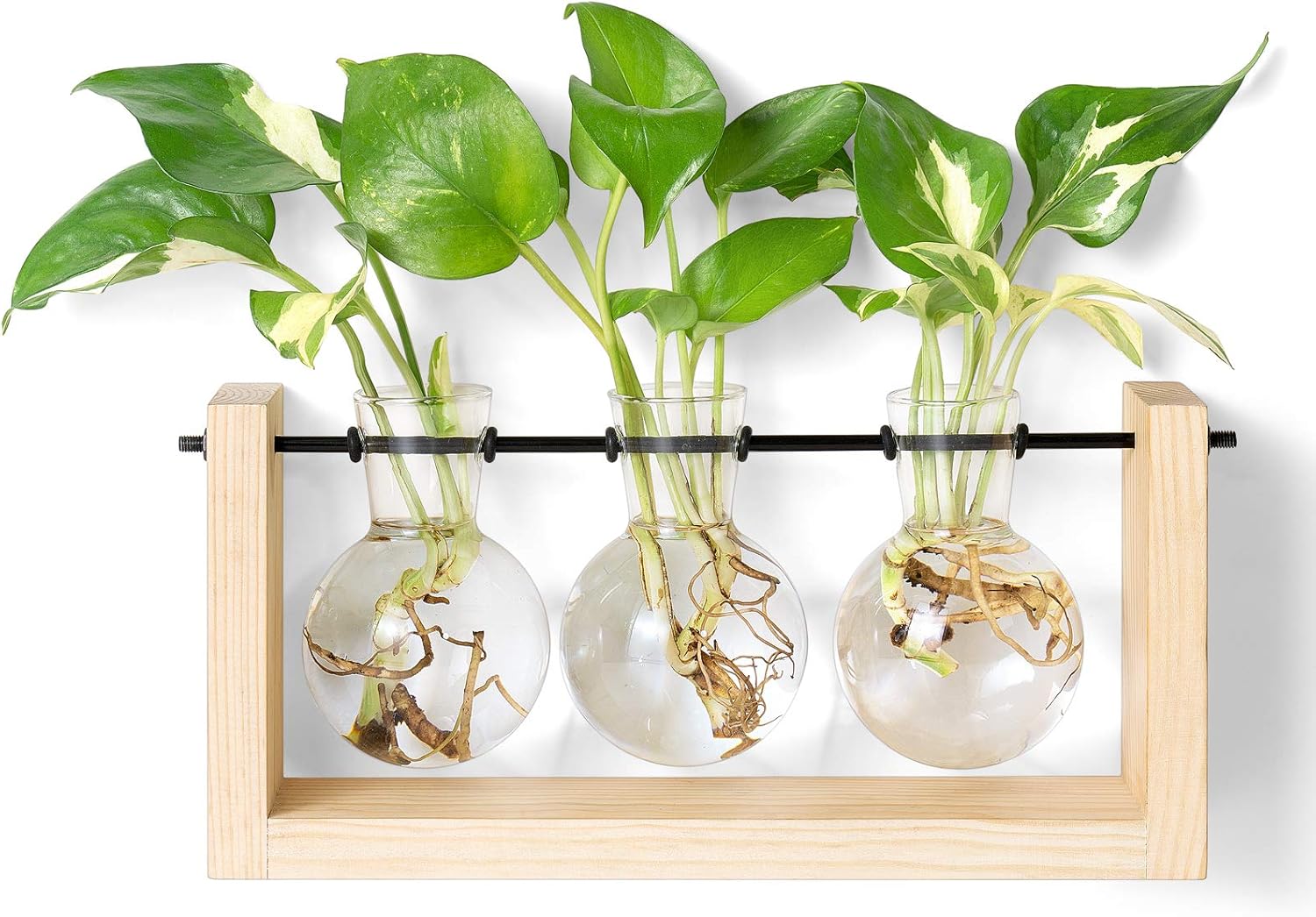Mkono Plant Terrarium with Wooden Stand, Wall Hanging Glass Planter Desktop Plant Propagation Vase with Metal Swivel Retro Rack for Hydroponics Plants Home Office Decor (3 Bulb Vase)