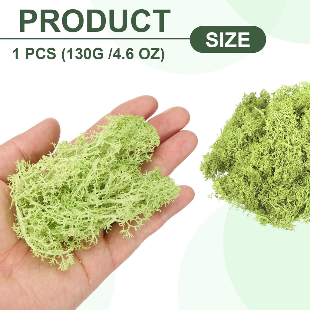 MECCANIXITY 4.6oz Preserved Reindeer Moss, Bright Green Decorative Artificial Fake Moss for Potted Plants Indoor Crafts Lichen Centerpieces Decor