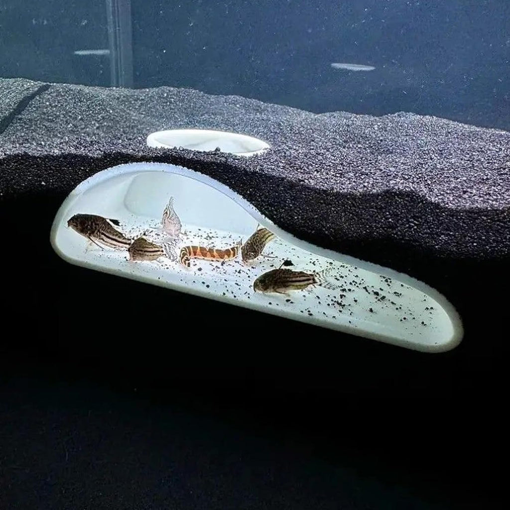 Aquarium Underground Hideaway,Viewing Fish Shrimp Under Gravel Tunnel - Fish Tank Ornaments for Kuhli Loach Chili Rasbora Hermit Crab Corydora Catfish Clown Loach