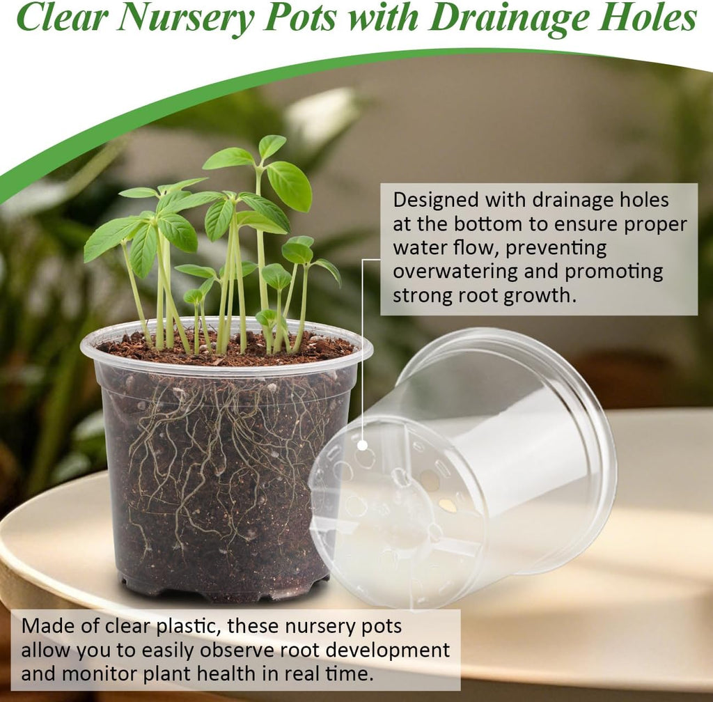 60 Pack Clear Nursery Pots with Humidity Domes, 4 Inch Plastic Plant Pots with Drainage Holes for Seedlings, Transparent Seed Starting Pot for Cuttings Propagation Indoor Gardening