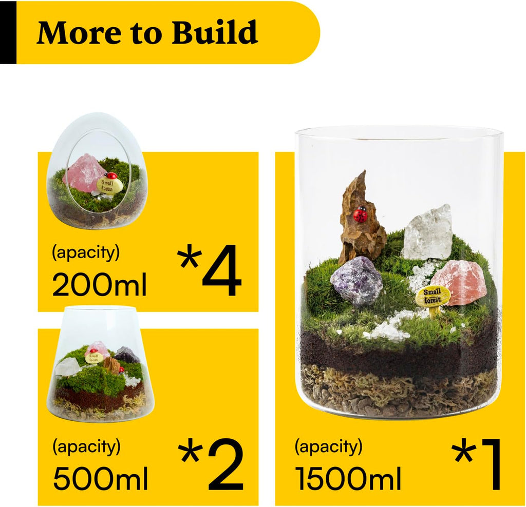 DIY Crystal Terrarium Kit– All-In-One Starter Kit with Preserved Moss, Pumice, Crystals, Coconut Coir, Gardening Tools & Decor | Healing Gift for relaxing | Plants & Crystal Lovers | Home & Desk Decor