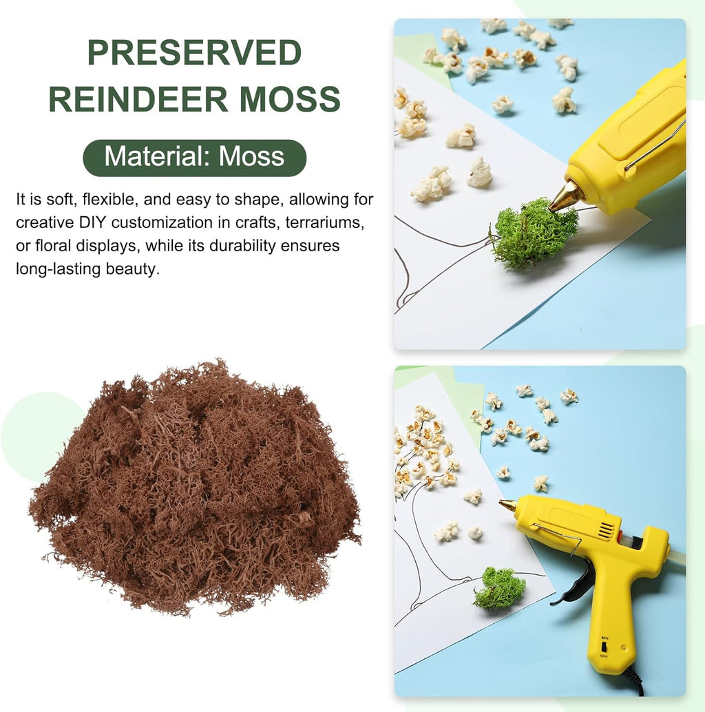 MECCANIXITY 4.6oz Preserved Reindeer Moss, Coffee Decorative Artificial Fake Moss for Potted Plants Indoor Crafts Lichen Centerpieces Decor