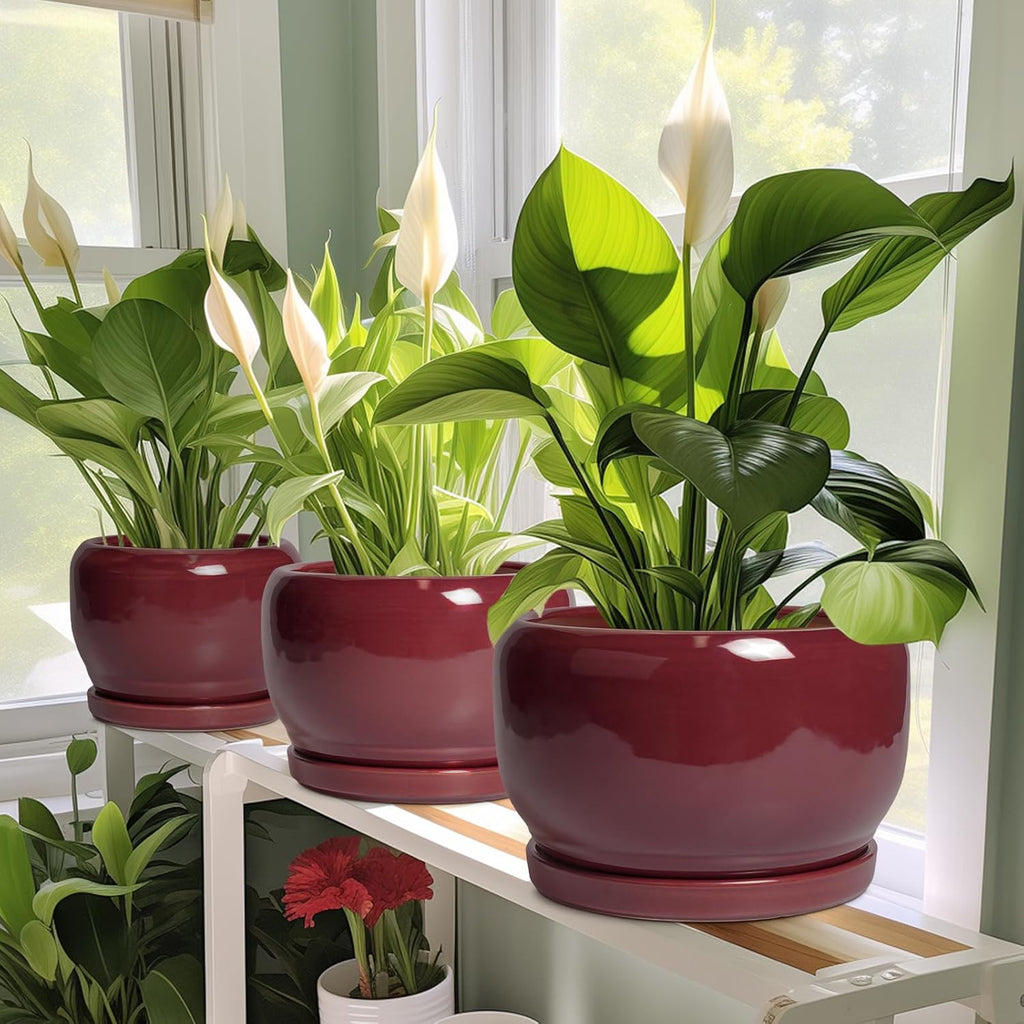 SQOWL Ceramic Pot for Plants - 10 Inch Indoor Planter with Drainage Hole and Saucer, Round Modern Planter Outdoor, Decorative Large Plant Pot for Flower, Living Room Decor, Garden Gifts, Red