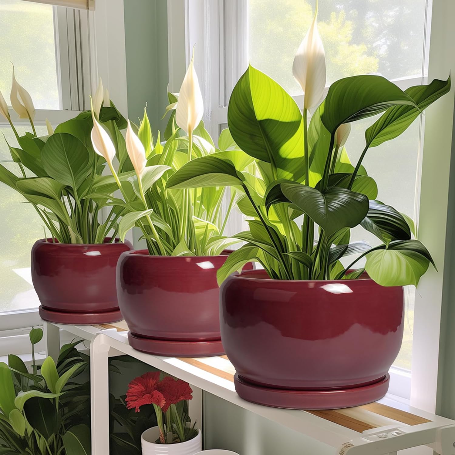 SQOWL Ceramic Pot for Plants - 10 Inch Indoor Planter with Drainage Hole and Saucer, Round Modern Planter Outdoor, Decorative Large Plant Pot for Flower, Living Room Decor, Garden Gifts, Red