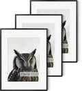 12x16 Metal Picture Frame -12x16 Aluminum Picture Frame with Shatter-Resistant Glass - Displays 9x12 Photos with Mat or 12x16 Images without Mat - Ideal for Home or Office Decor(Black, Pack of 3)