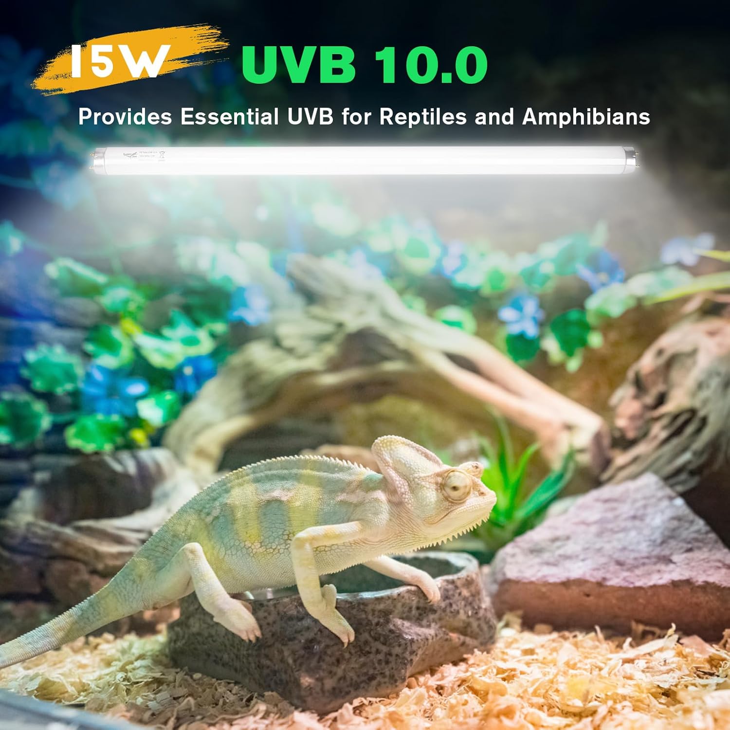 3-Pack UVB Reptile Light 10.0 Bulb 15W T8 Fluorescent Desert Lamp UVA for Bearded Dragon Tortoise Reptile & Amphibian