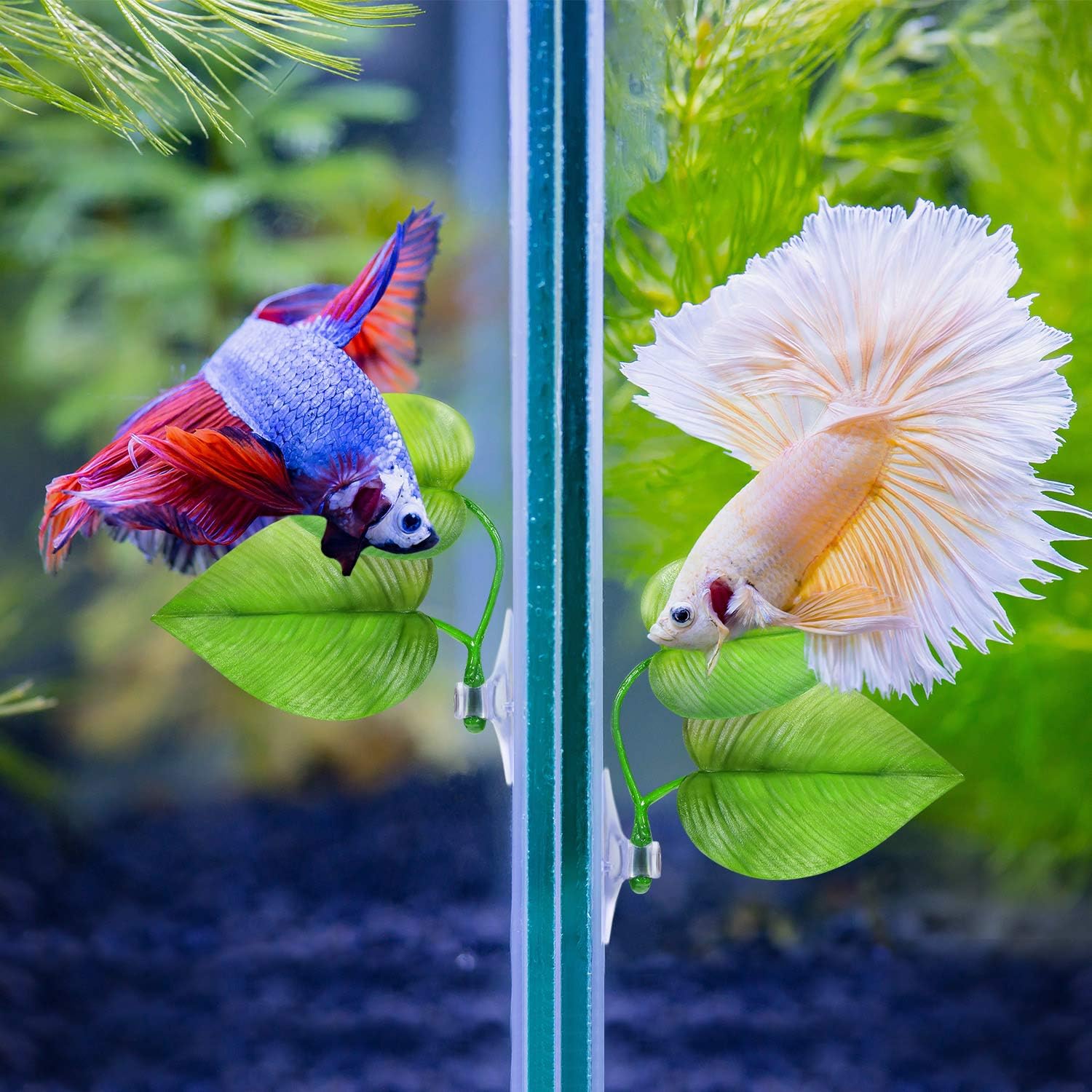 Boao 4 Pieces Betta Fish Tank Accessories Betta Leaf Hammock Pad Simulating The Natural Habitat for Tank Aquarium Spawning Grounds Breeding Resting Bed(Double Leaf)