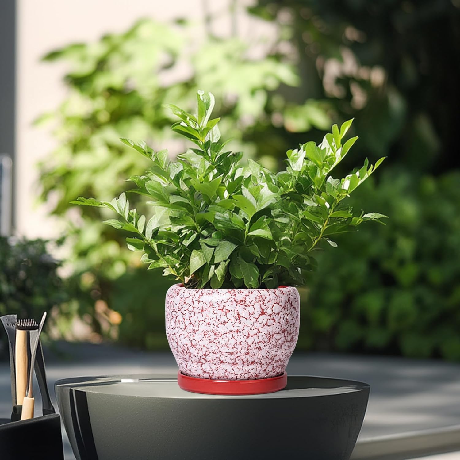 SQOWL 6 Inch Plant Pot - Ceramic Planter for Indoor Outdoor, Round Decorative Plant Pot with Drainage Hole and Saucer, Small Flower Planter, Home Balcony Decor, Gifts for Women Men, Red and White