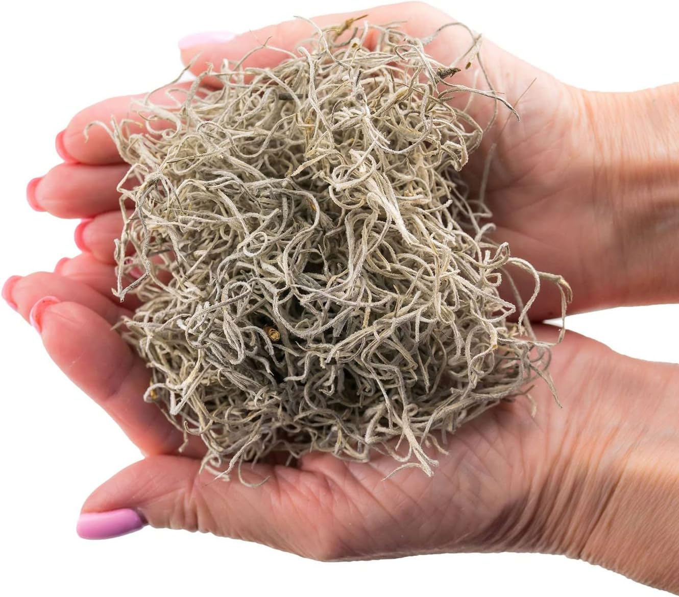 Gardenera Premium Natural Spanish Moss | Natural Preserved - Great Ground Cover - Filler for Potted Plants - 5 Quart Bag
