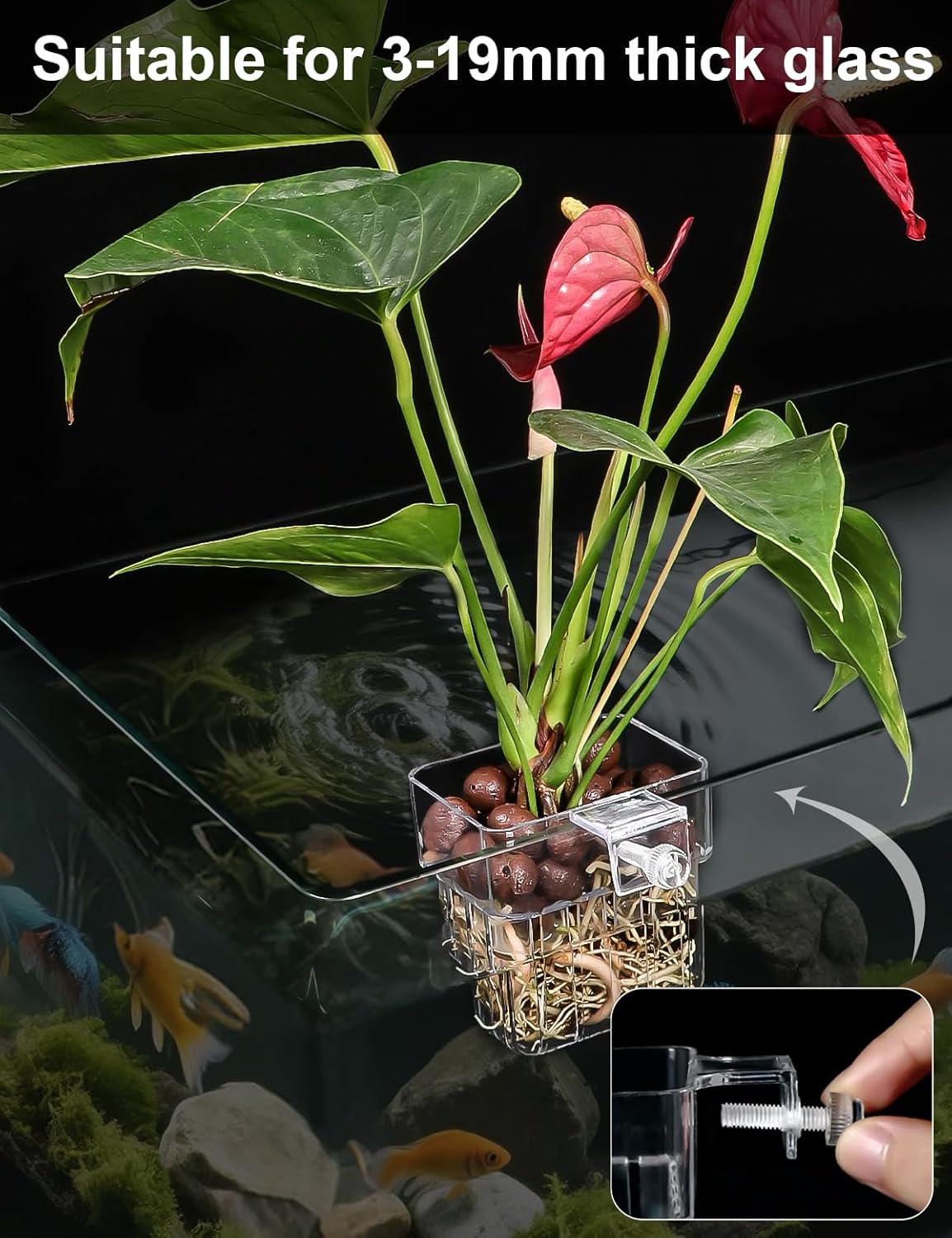 2 Pack Clear Aquarium Plant Holder Top Hanging Fish Tank Plant Holders Fits up to 0.8in Tank Edges, Aquarium Décor