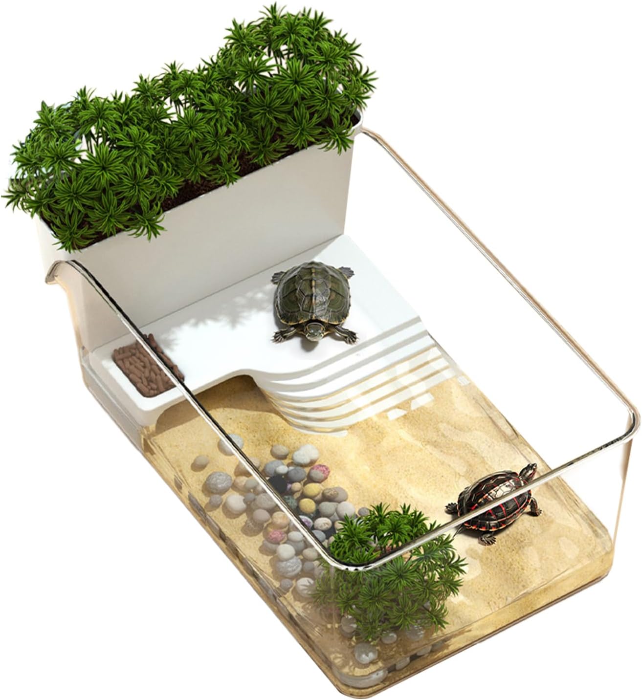 Turtle Tank, Transparent Turtle Terrarium, Decorative Habitat for Small Tortoise Crab Terrapin, Feeding & Basking Setup for Nature Educators, Pet Adoption Prep, Aquarium Display for Home