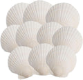 10PCS Scallop Shells, 4''-5'' White Seashells,for DIY Crafts, Painting, Ocean Themed Parties and Home Decorations.