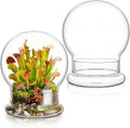 2 Pack Round Glass Cloche Domes with Air Hole and Base, 4.6×6.6 Inches Clear Terrarium Planter, Cloche Planters, Terrarium Bell Jar, Humidity Dome Glass for Plants, Mimosa