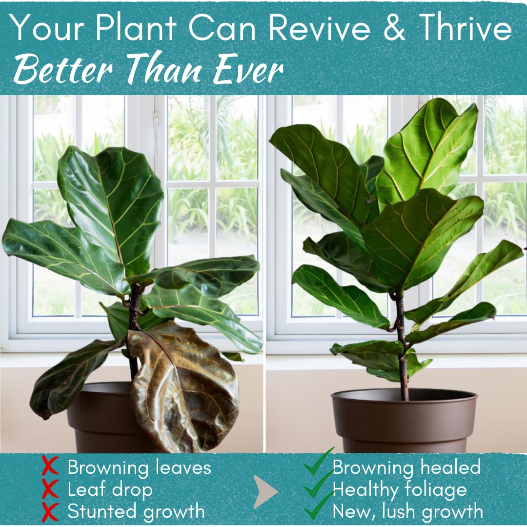 Root Rot Repair for Houseplants – Recovery Drops Root Supplement for Overwatering or Shock | Heals Roots, Prevents Brown Spots & Dropping Leaves (8 oz)