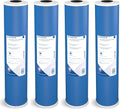 Pentair Pentek GAC-20BB Big Blue Carbon Water Filter, 20-Inch, Heavy Duty Granular Activated Carbon (GAC) Replacement Cartridge, 20" x 4.5", Pack of 4