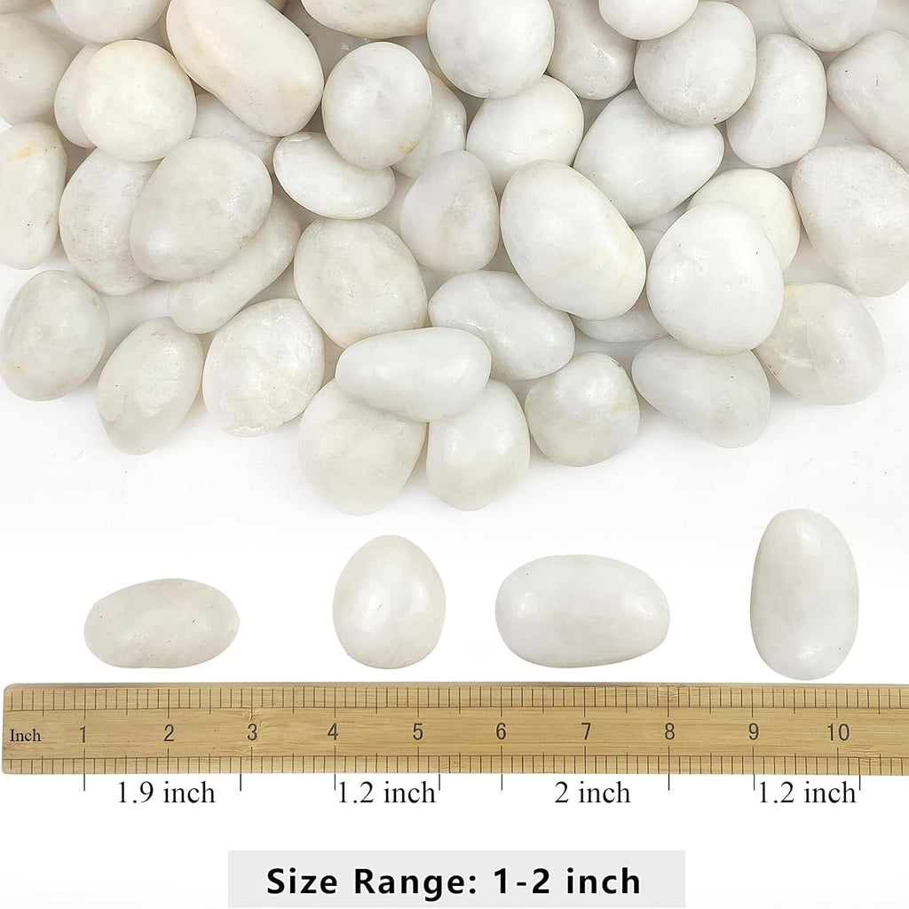 5lbs White River Rocks, 1-2 Inch Natural Pebbles for Indoor Plants, High Polished Decorative Stones Vase Filler Fish Tank Aquariums Landscaping Garden Outdoor and Indoor DIY