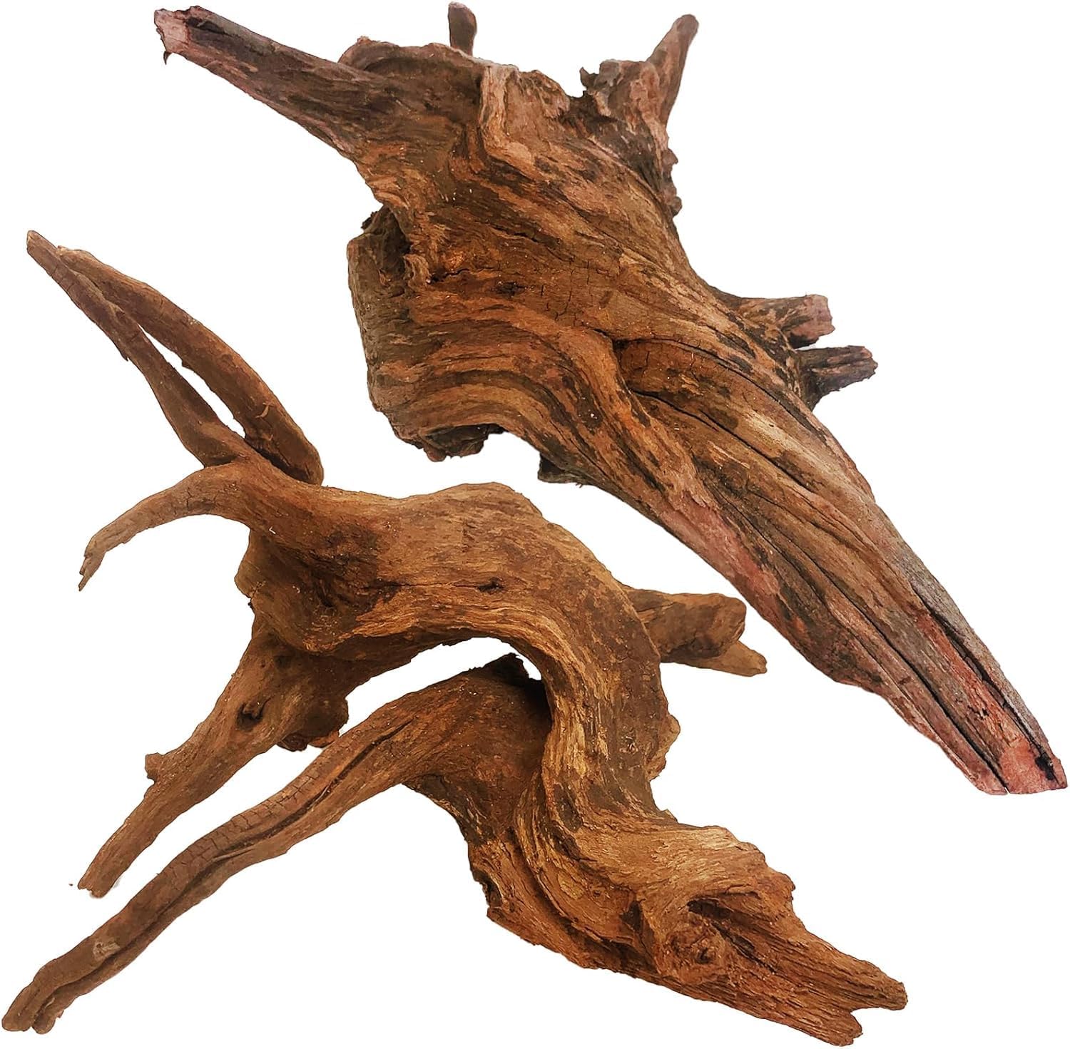 Azil spiderwood Natural Aquarium