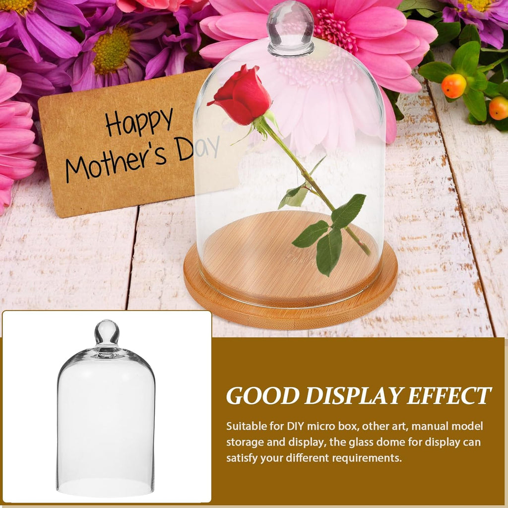POPETPOP Glass Cloche Dome Bell Jar Display Case Glass Display Dome Terrarium Jar for Plants Collectible Figure （Only single cover）