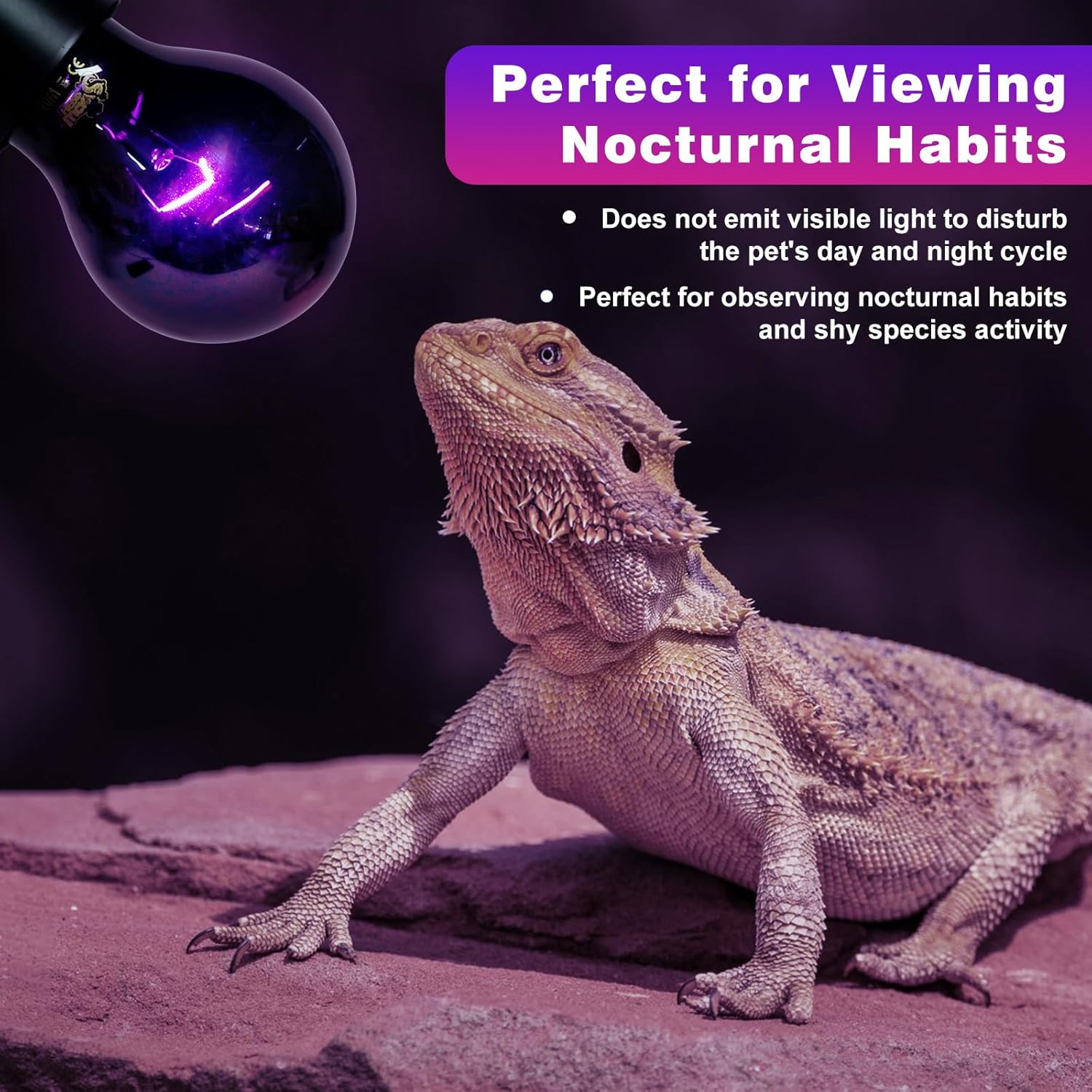 LUCKY HERP Reptile Heat Lamp 75W 2 Pack, Reptile Night Heat Bulb, Reptiles & Amphibians Basking Spot Light Bulb for Bearded Dragon, Lizard, Snake, Turtle, Chameleon