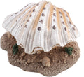 Aquarium Ornament, Fish Shell Pearl Bubbler, Fish Tank Decoration, Safe Resin Material, Widened Base for Easy Placement, for Aquarium Photography Props, Home Decor, Office Decor, and Gift Ideas