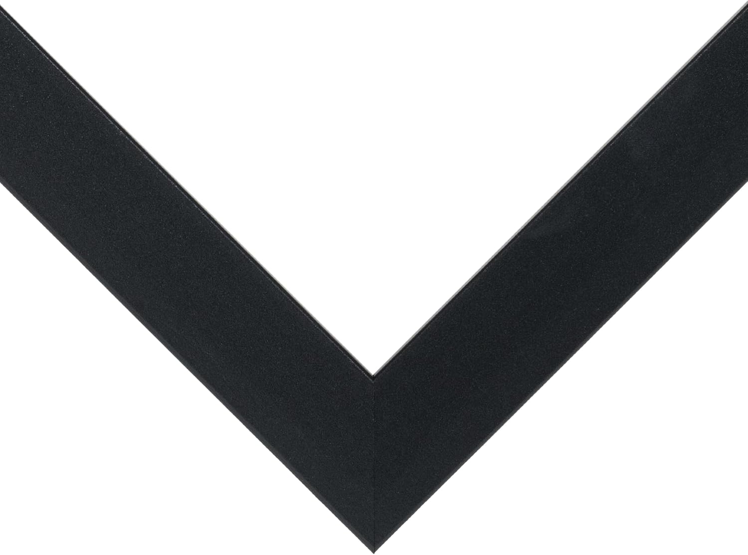 wallsthatspeak Elements 14x20 Picture Frame, Wall Hanging Black Poster Frame Displays Vertically or Horizontally, Includes Durable Plexiglass, Set of 6