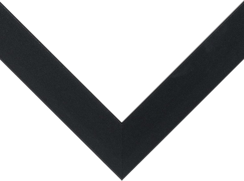 wallsthatspeak Elements 14x20 Picture Frame, Wall Hanging Black Poster Frame Displays Vertically or Horizontally, Includes Durable Plexiglass