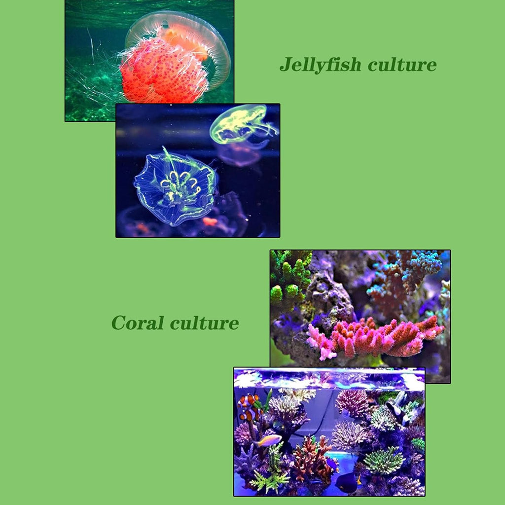 Tyenaza Aquarium Chiller, 20L Quiet Constant Temperature Adjustable Fish Tank Water Cooling Machine Aquarium Cooler